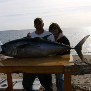 Meet your Posher, Margaret